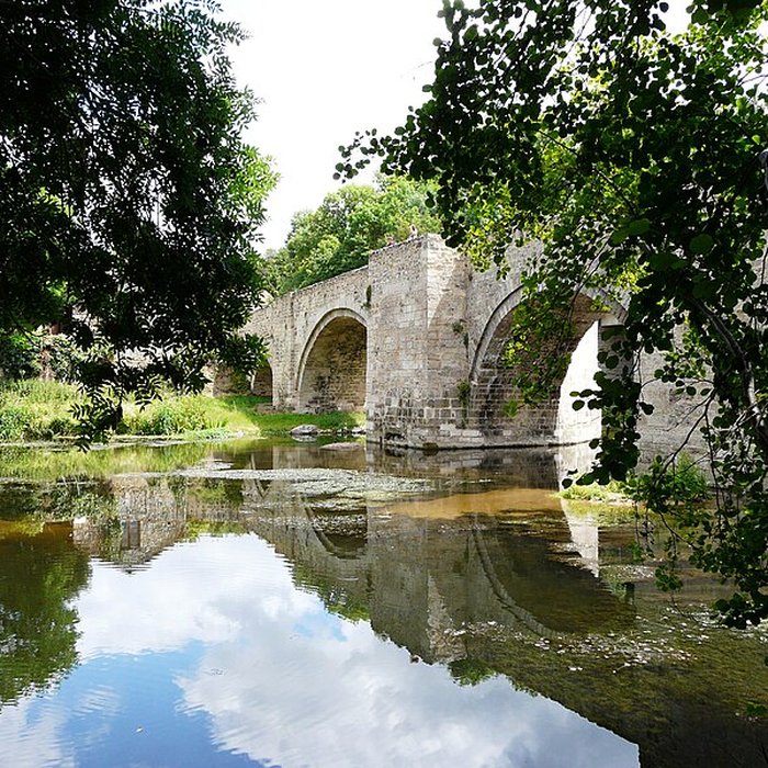 Photo de Vieux pont de Saint-Généroux