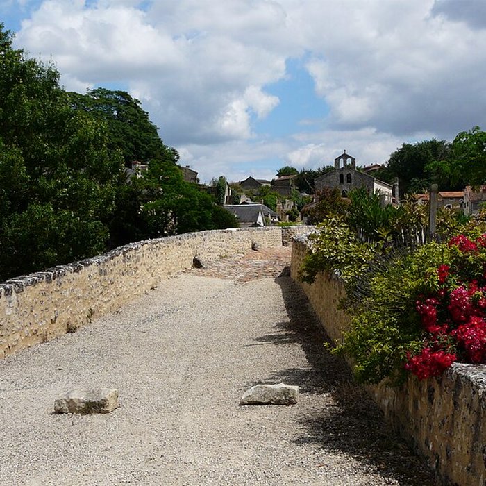 Photo de Vieux pont de Saint-Généroux