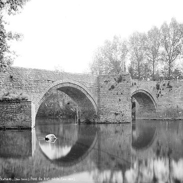 Vieux pont de Saint-Généroux