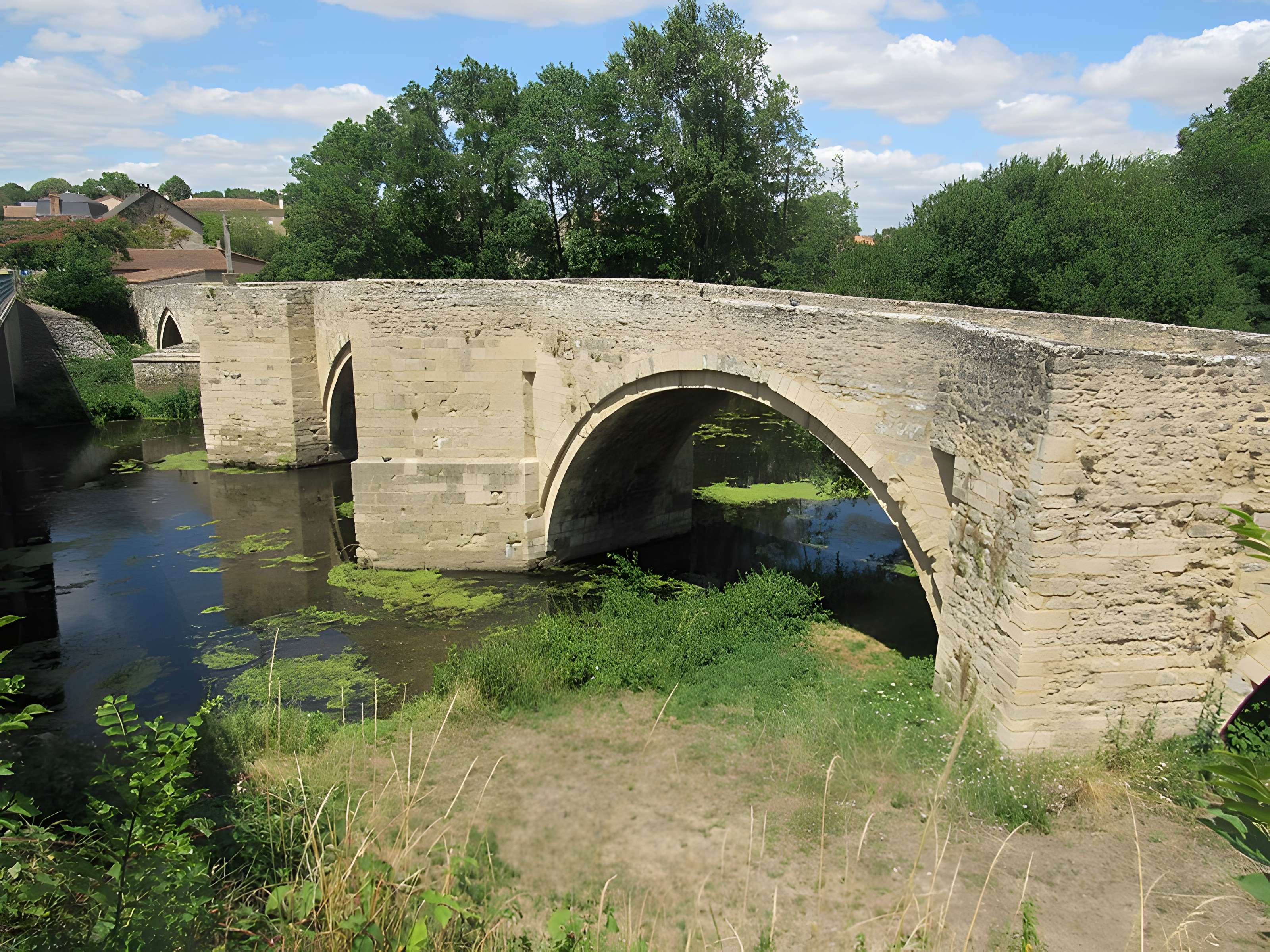 Vieux pont de Saint-Généroux