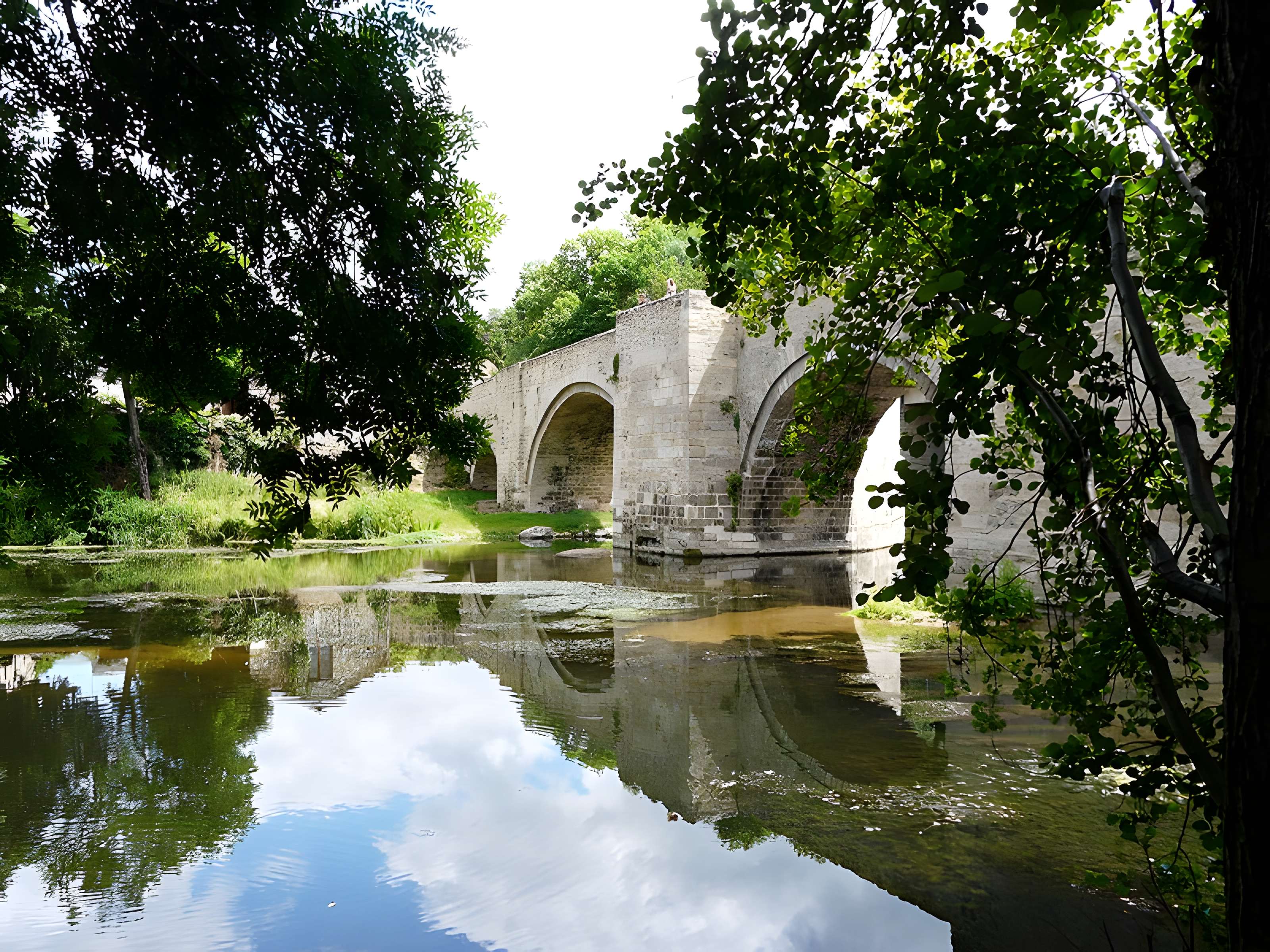 Vieux pont de Saint-Généroux