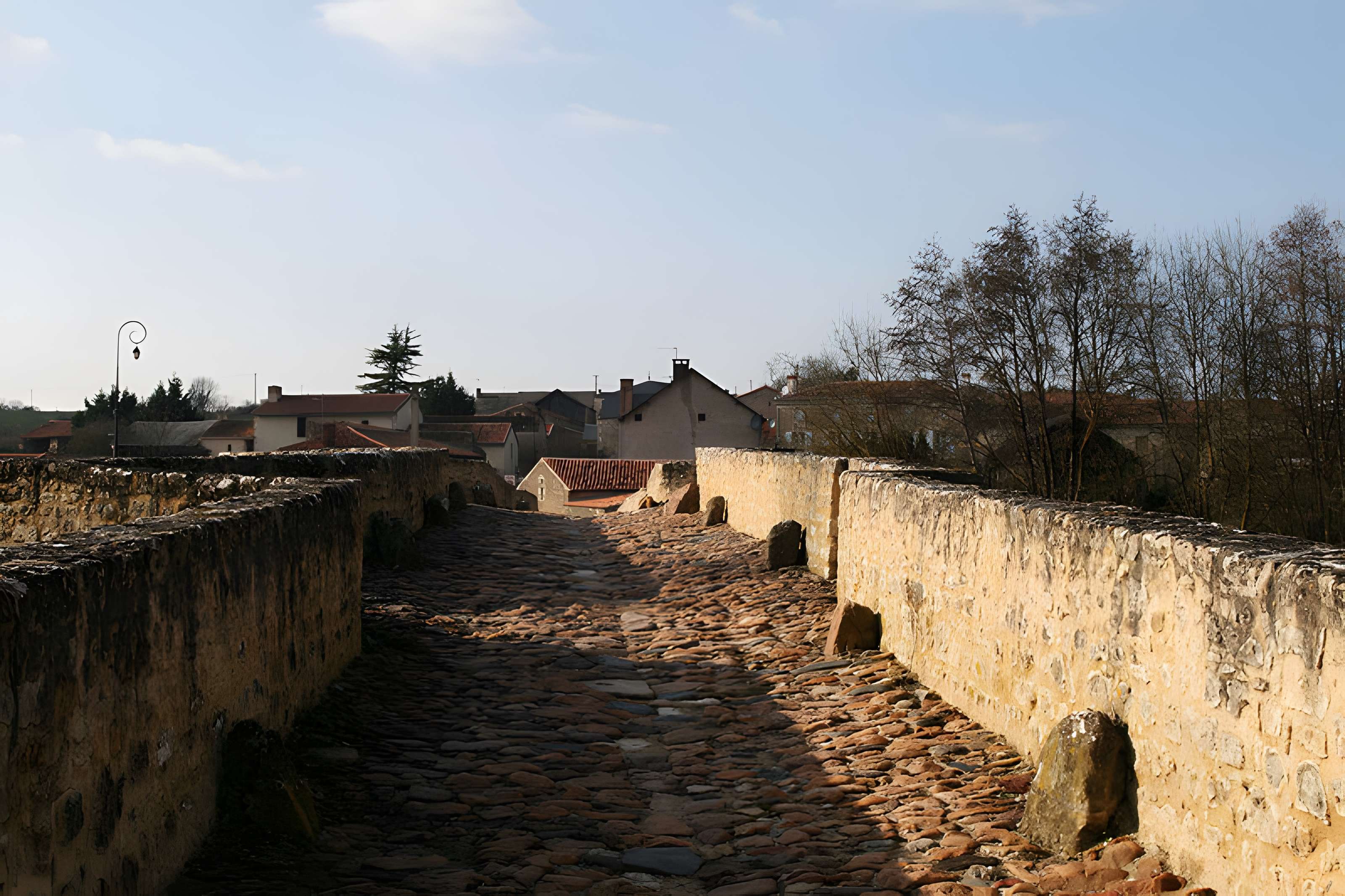 Vieux pont de Saint-Généroux