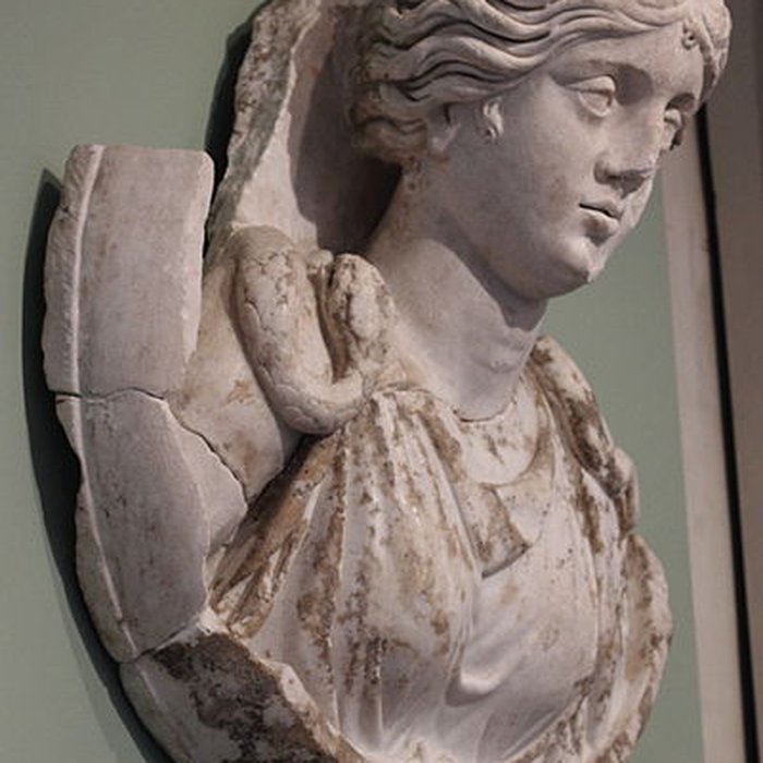 Photo de Villa romaine de Chiragan à Martres-Tolosane