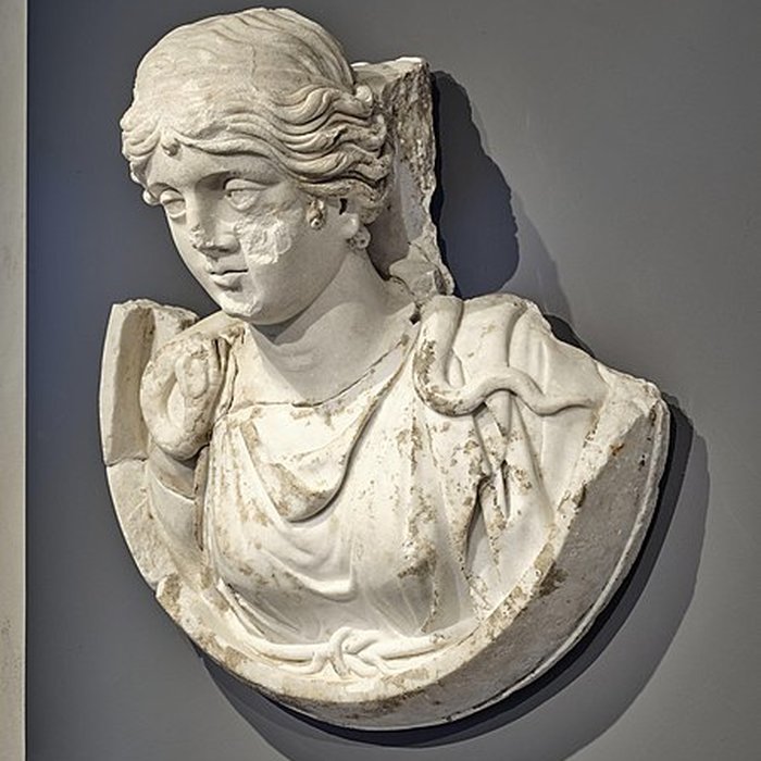 Photo de Villa romaine de Chiragan à Martres-Tolosane