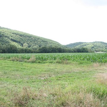 Villa romaine de Chiragan à Martres-Tolosane