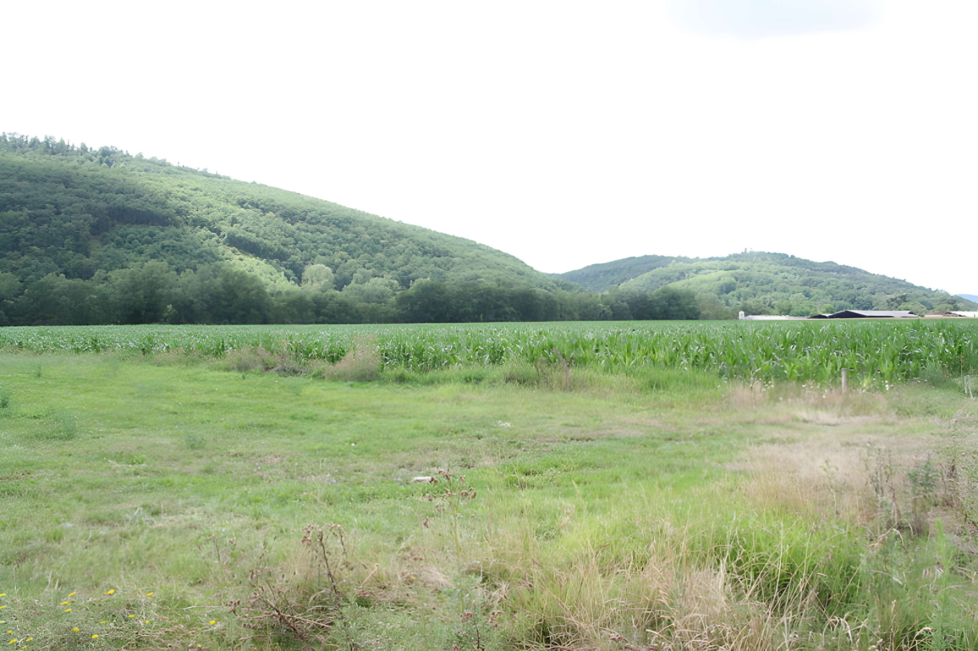 Villa romaine de Chiragan à Martres-Tolosane