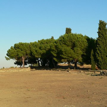 Ville antique dAléria