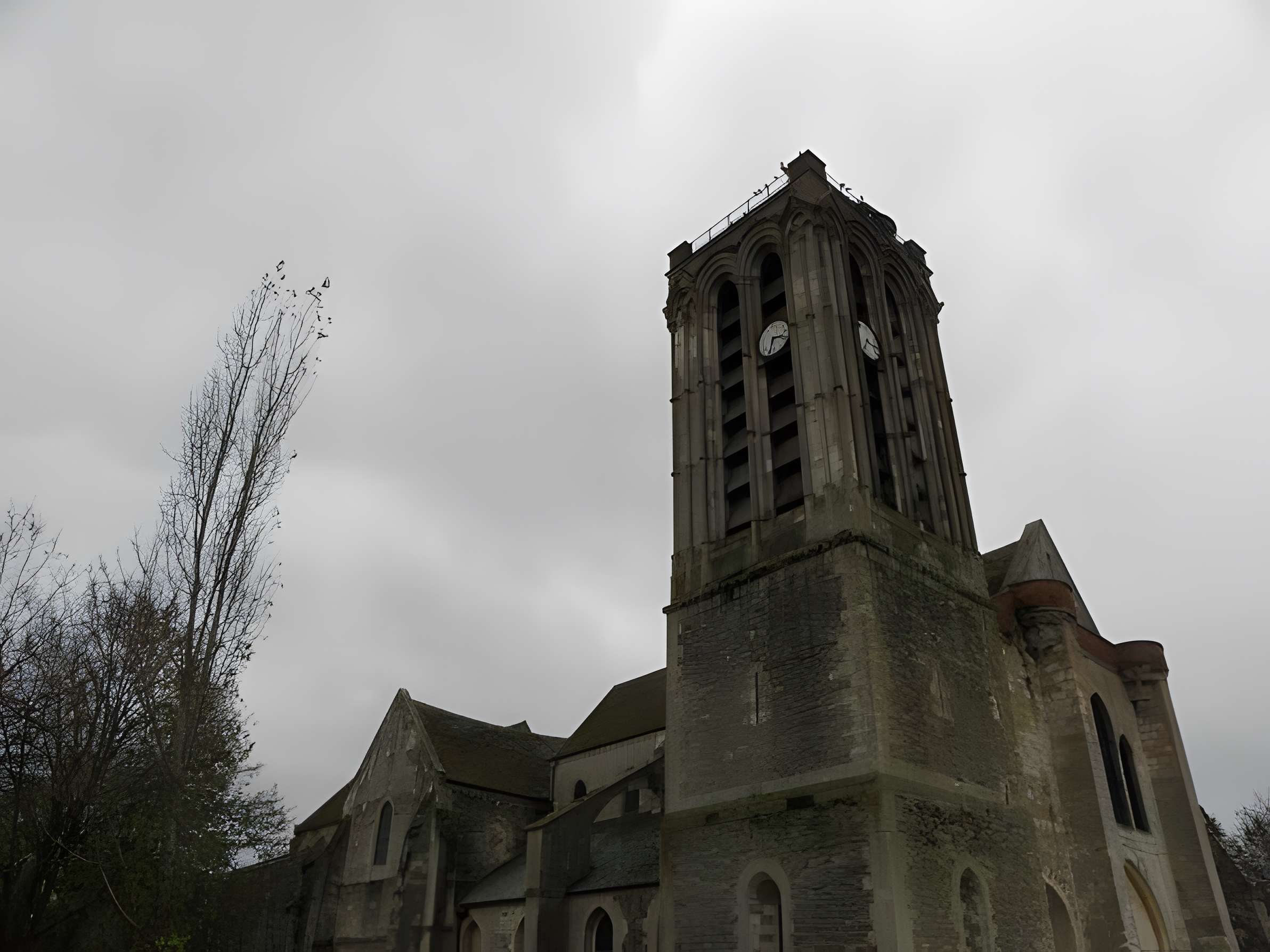Collégiale Saint-Martin de Champeaux