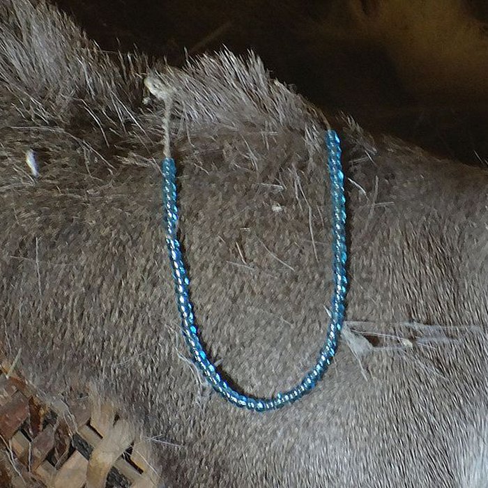 Photo de Ville antique de Ruscino à Perpignan