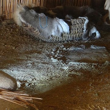 Ville antique de Ruscino à Perpignan