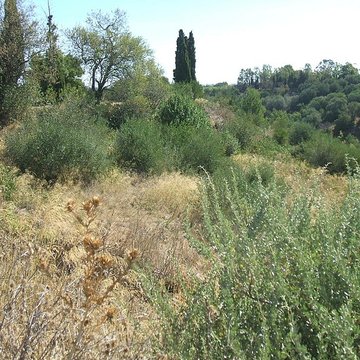 Ville antique de Ruscino à Perpignan
