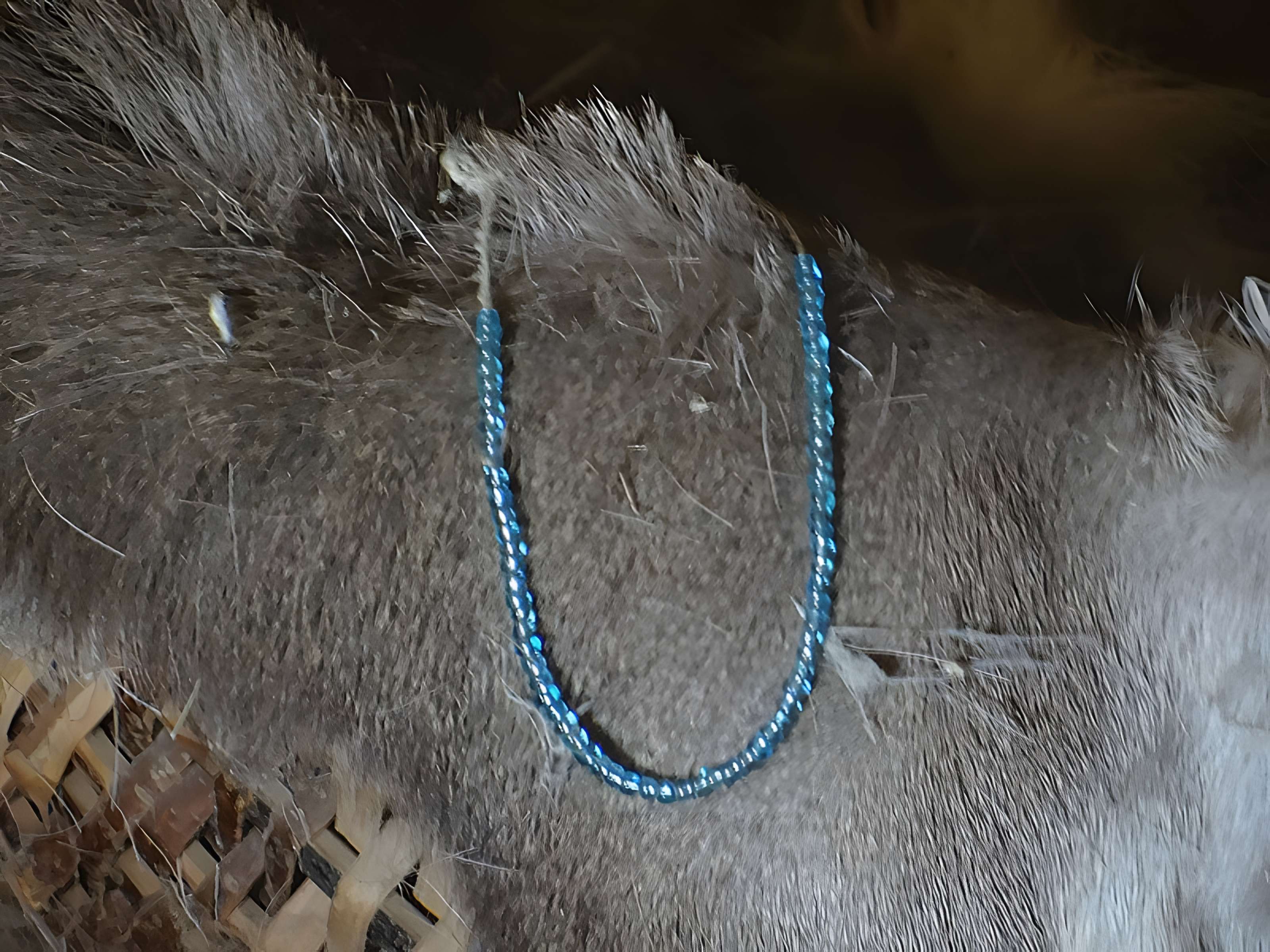 Ville antique de Ruscino à Perpignan