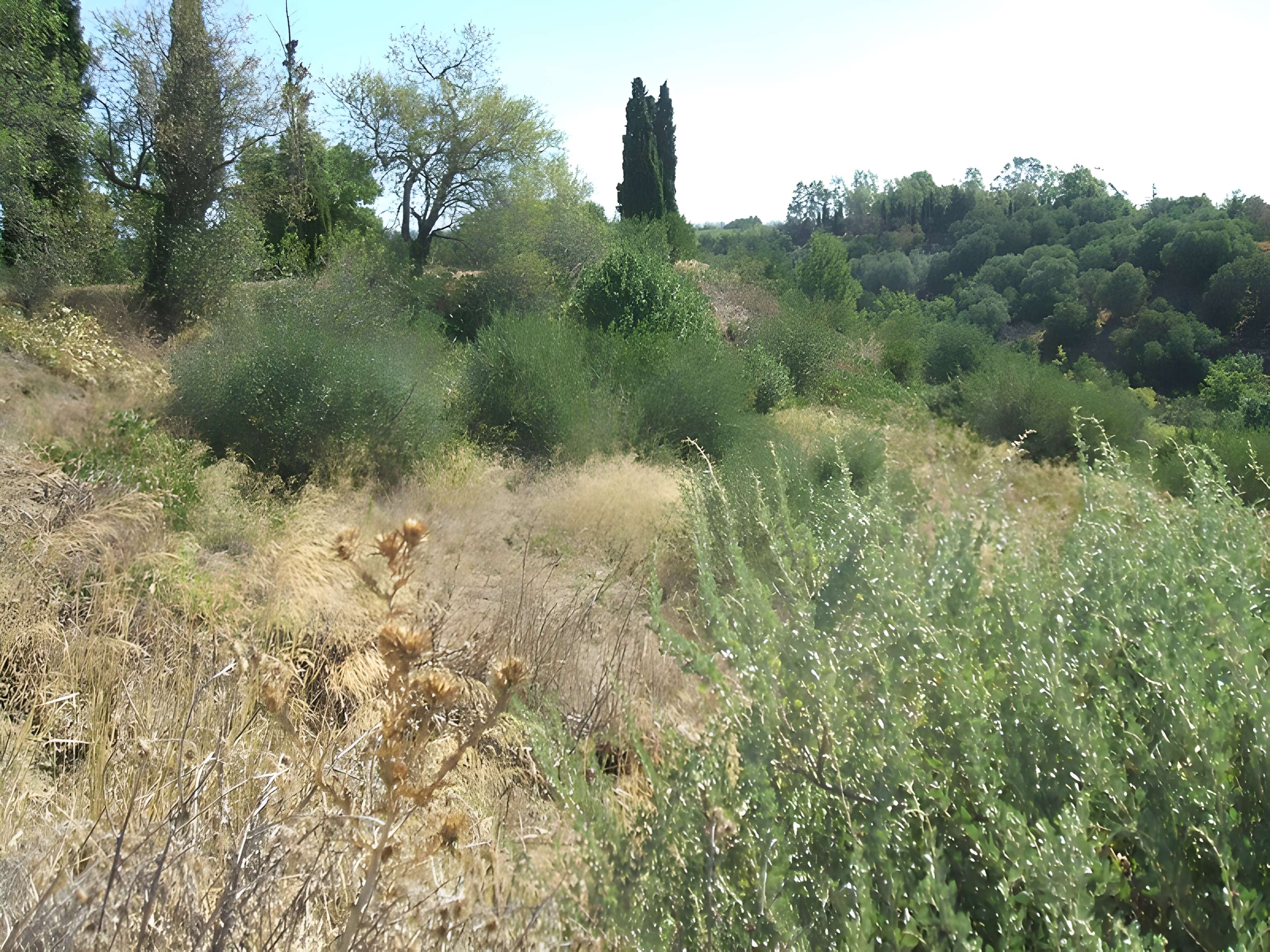Ville antique de Ruscino à Perpignan