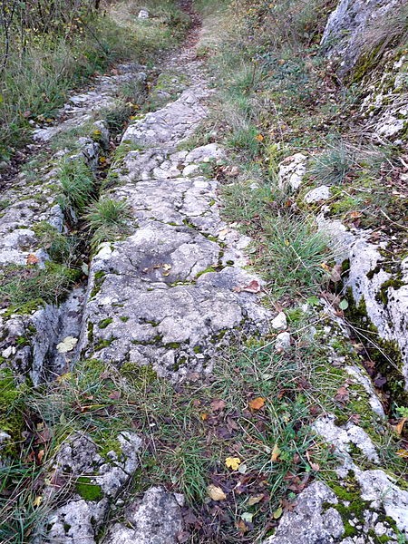 Photo de Voie romaine de Beure