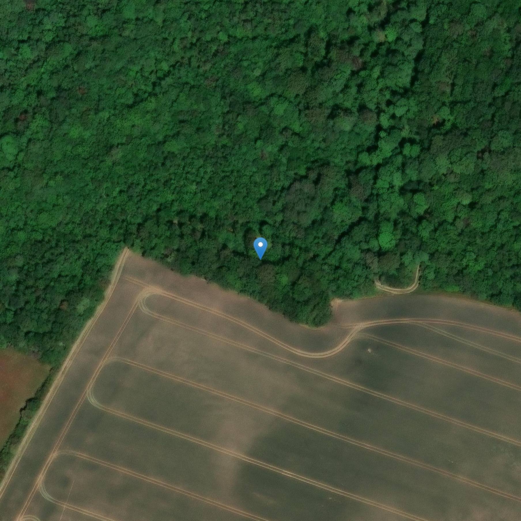 Photo de 2 Menhirs de Tannois