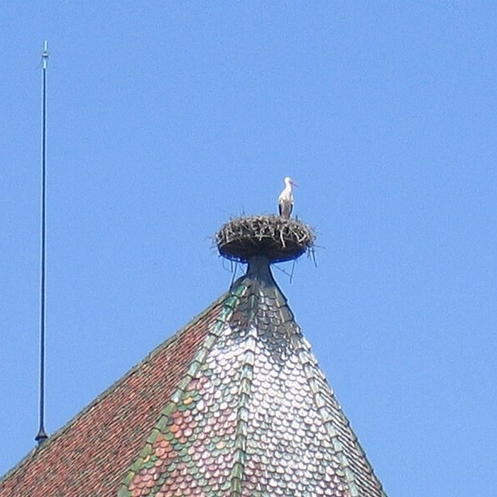 Photo de Collégiale Saint-Martin de Colmar