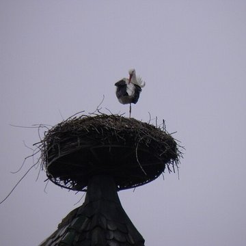 Collégiale Saint-Martin de Colmar