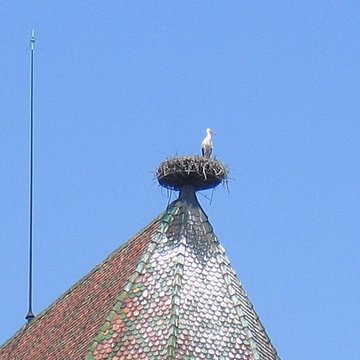 Collégiale Saint-Martin de Colmar