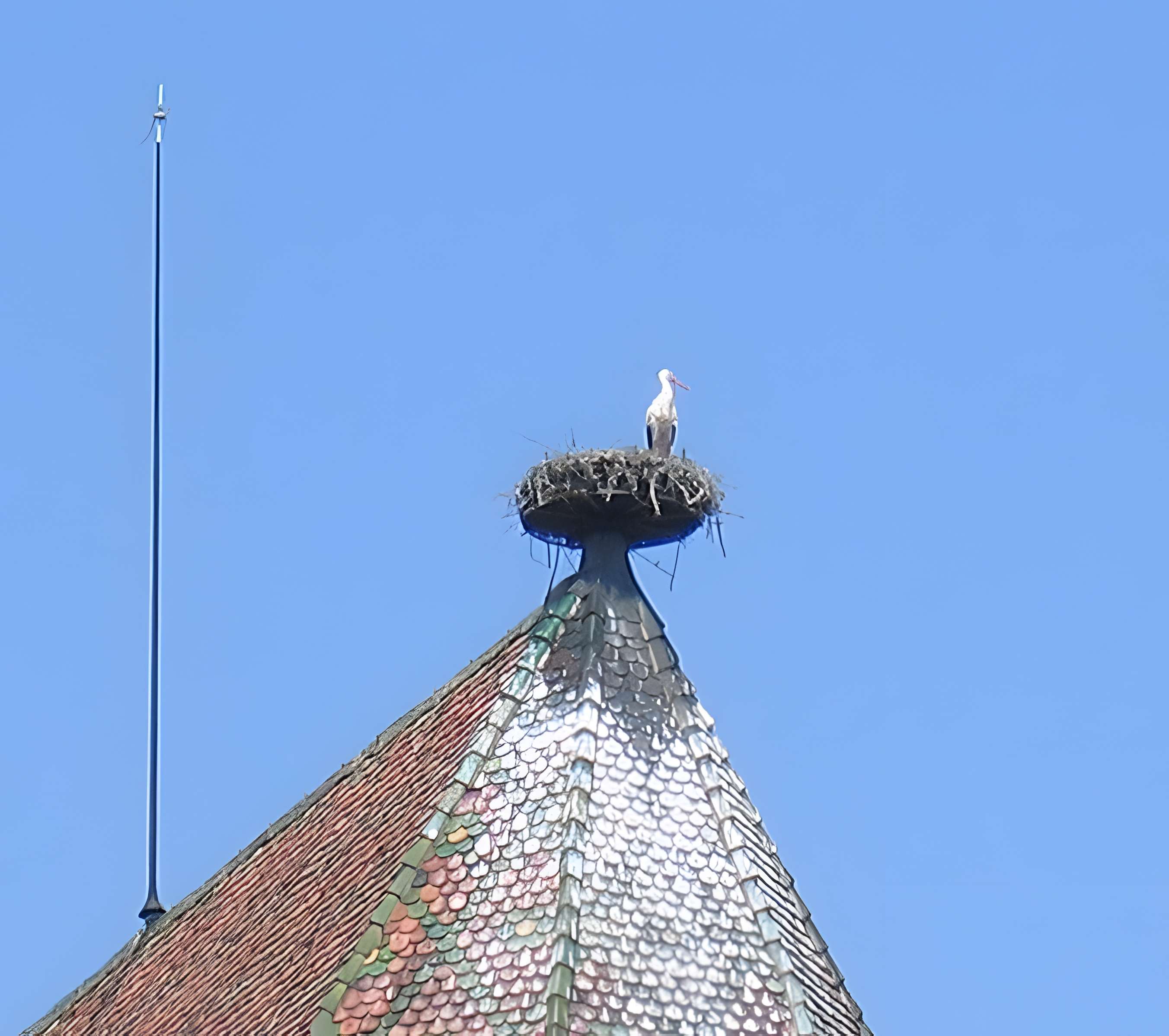 Collégiale Saint-Martin de Colmar