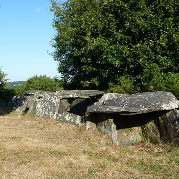 Photo de 3 Allées couvertes de Laniscat