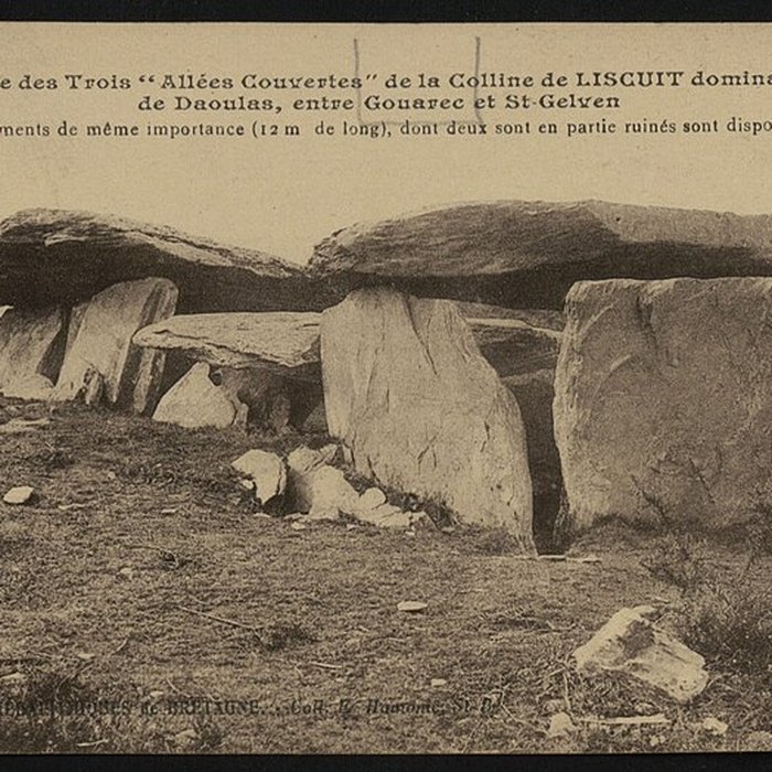 Photo de 3 Allées couvertes de Laniscat