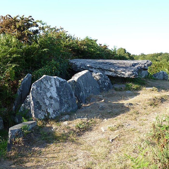 Photo de 3 Allées couvertes de Laniscat