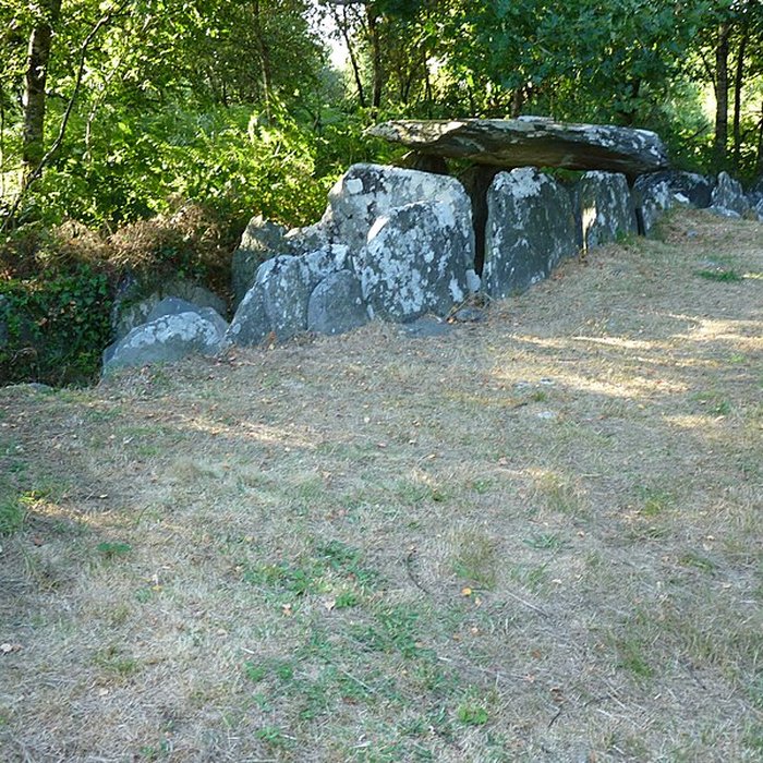 Photo de 3 Allées couvertes de Laniscat