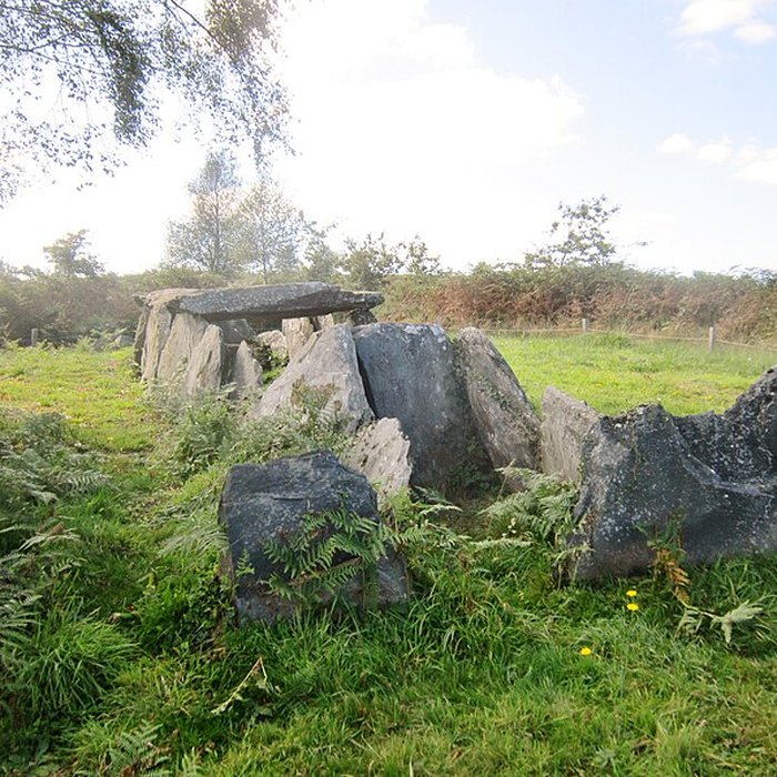 Photo de 3 Allées couvertes de Laniscat