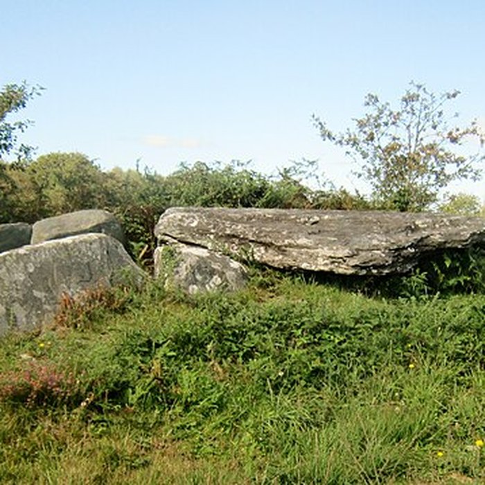 Photo de 3 Allées couvertes de Laniscat