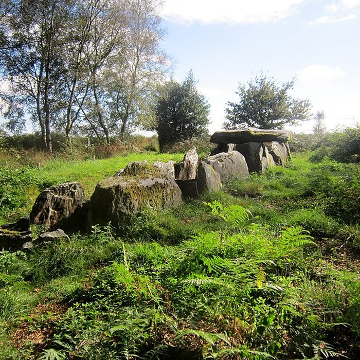 Photo de 3 Allées couvertes de Laniscat