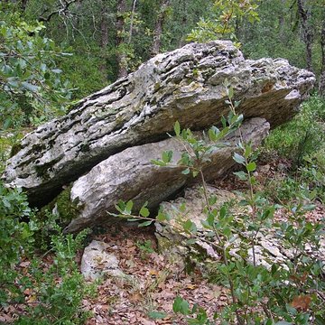 Groupe de trois dolmens