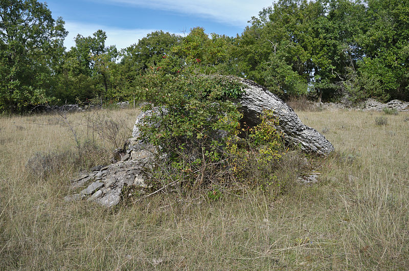3 Dolmens de Saillac