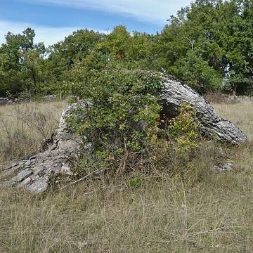 3 Dolmens de Saillac