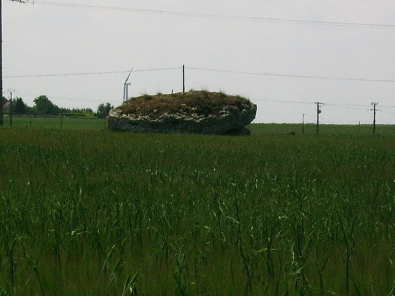 Photo de 5 Dolmens et Menhirs de Tripleville