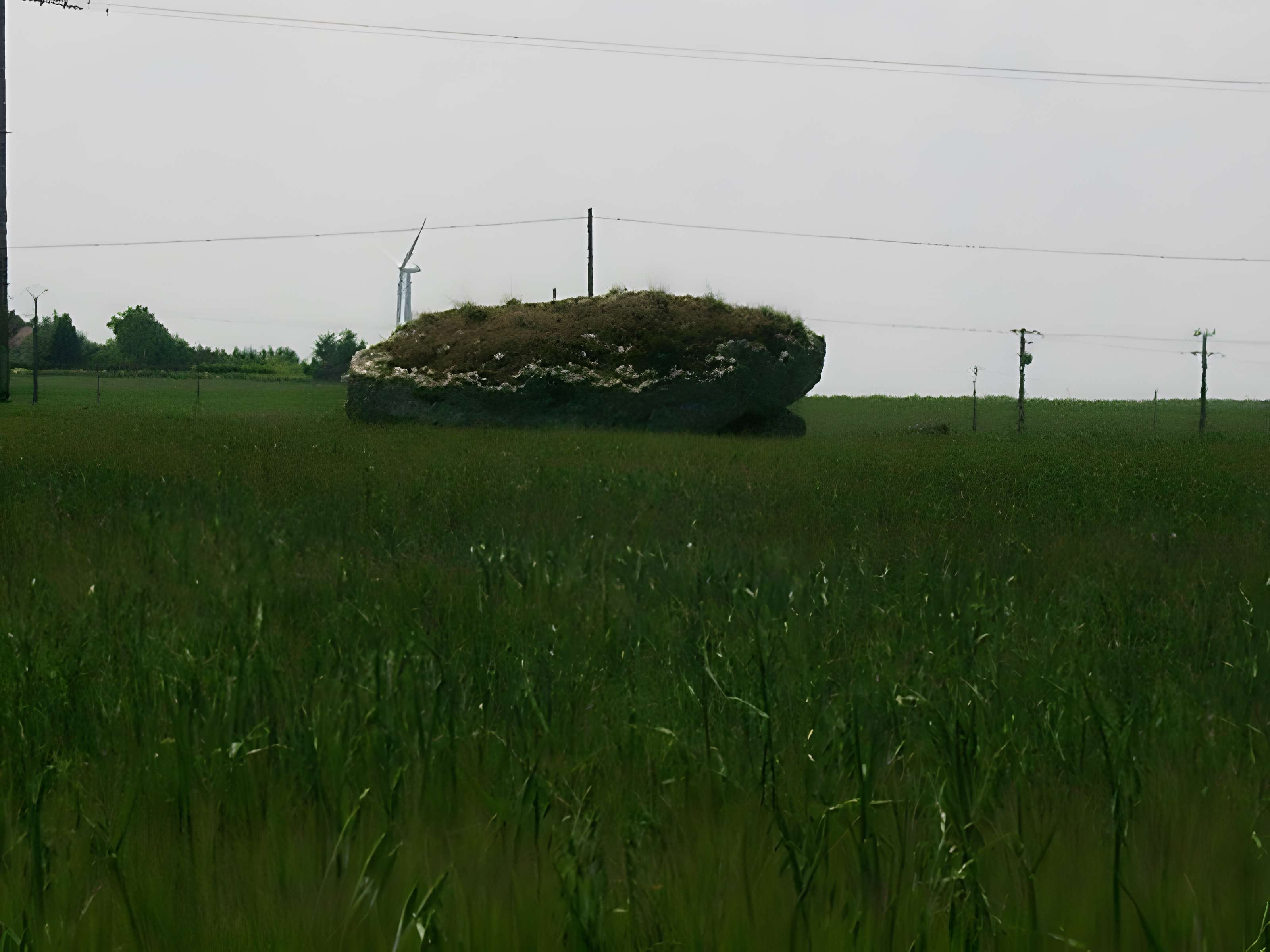 5 Dolmens et Menhirs de Tripleville 