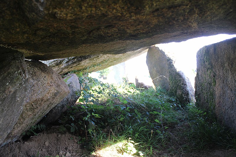 5 Menhirs de Moëlan-sur-Mer
