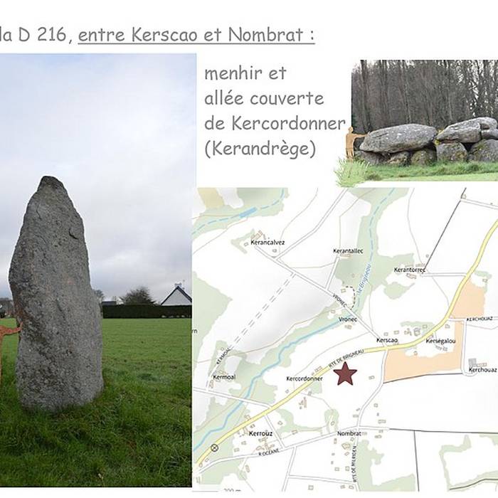Photo de 5 Menhirs de Moëlan-sur-Mer