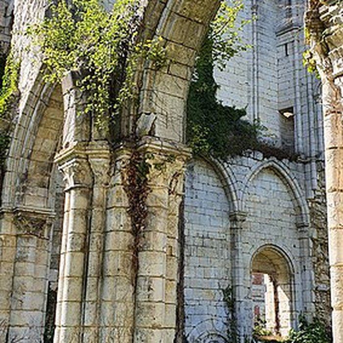 Photo de Abbatiale de Blanchefosse