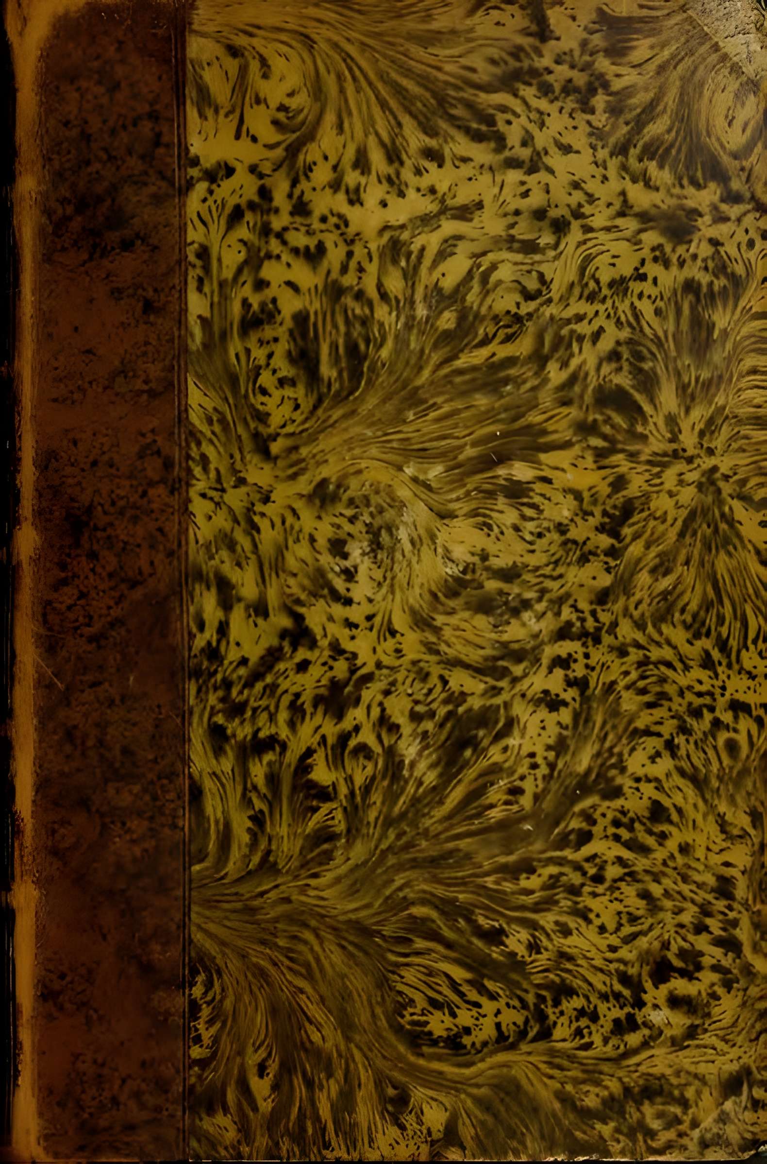 Abbatiale Saint-Pierre de Preuilly-sur-Claise