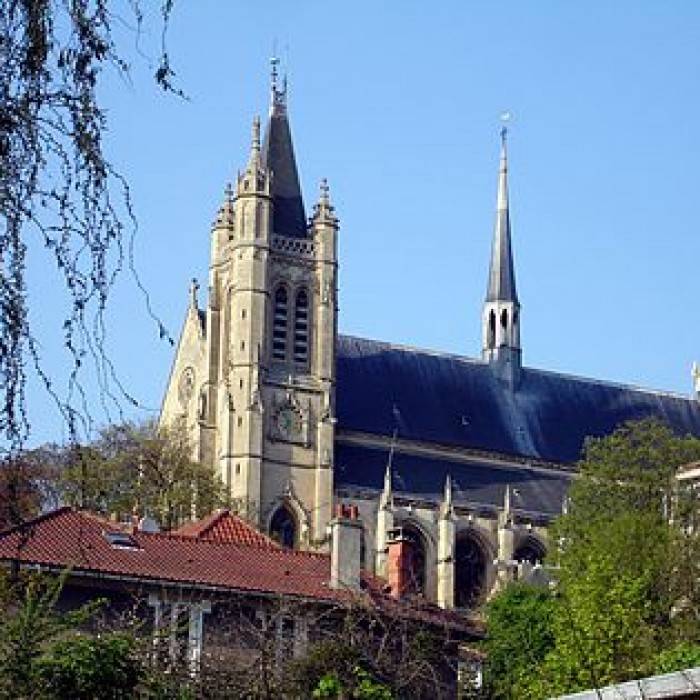 Photo de Collégiale Saint-Martin de Montmorency