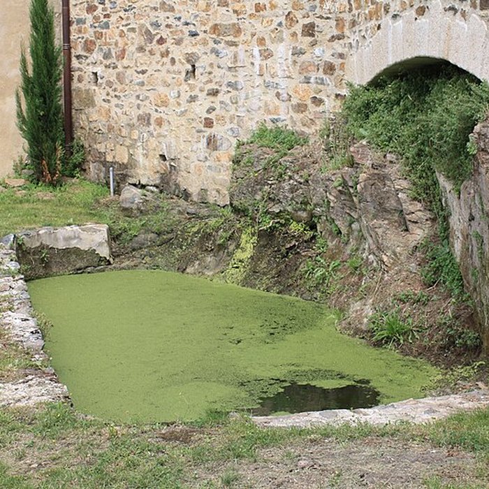Photo de Abbaye de Saint-Amand