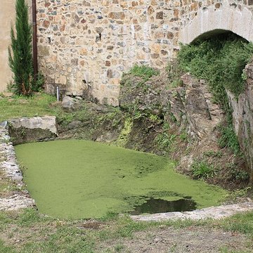 Abbaye de Saint-Amand