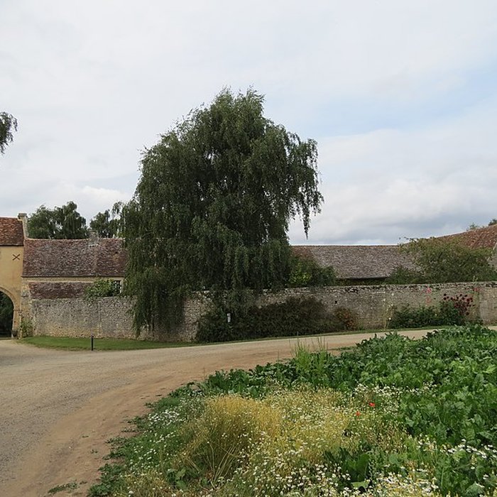 Photo de Abbaye de Villers-Canivet