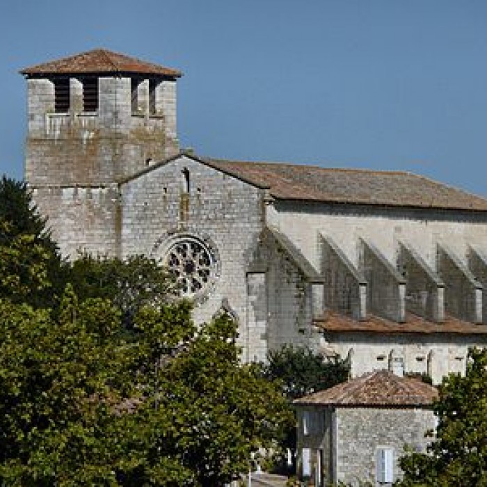 Photo de Collégiale Saint-Martin de Montpezat-de-Quercy
