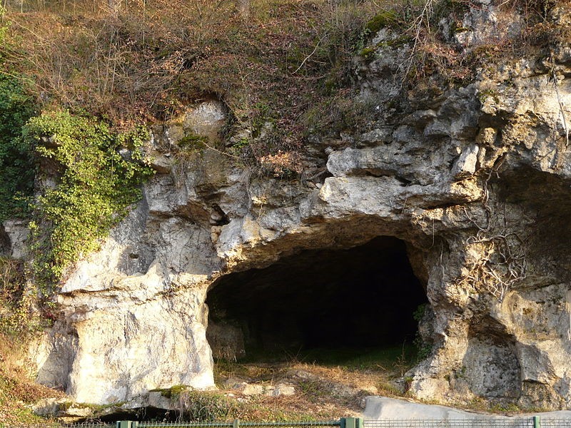 Photo de Abri de Raymonden I à Chancelade