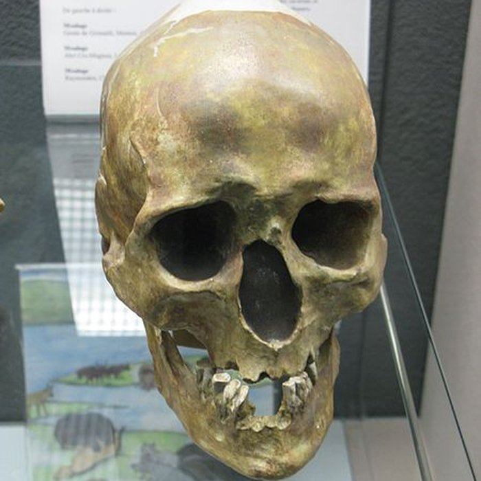 Photo de Abri de Raymonden I à Chancelade