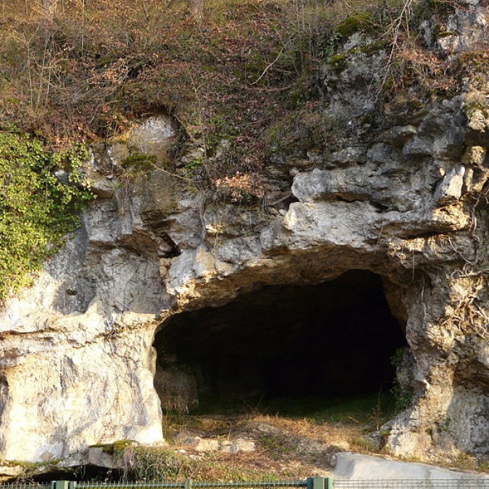 Photo de Abri de Raymonden I à Chancelade