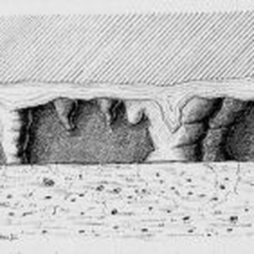 Abri de Raymonden I à Chancelade