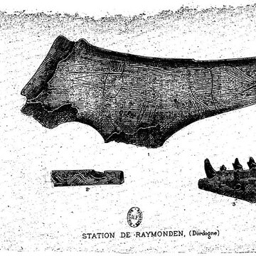 Abri de Raymonden I à Chancelade