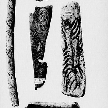 Abri de Raymonden I à Chancelade